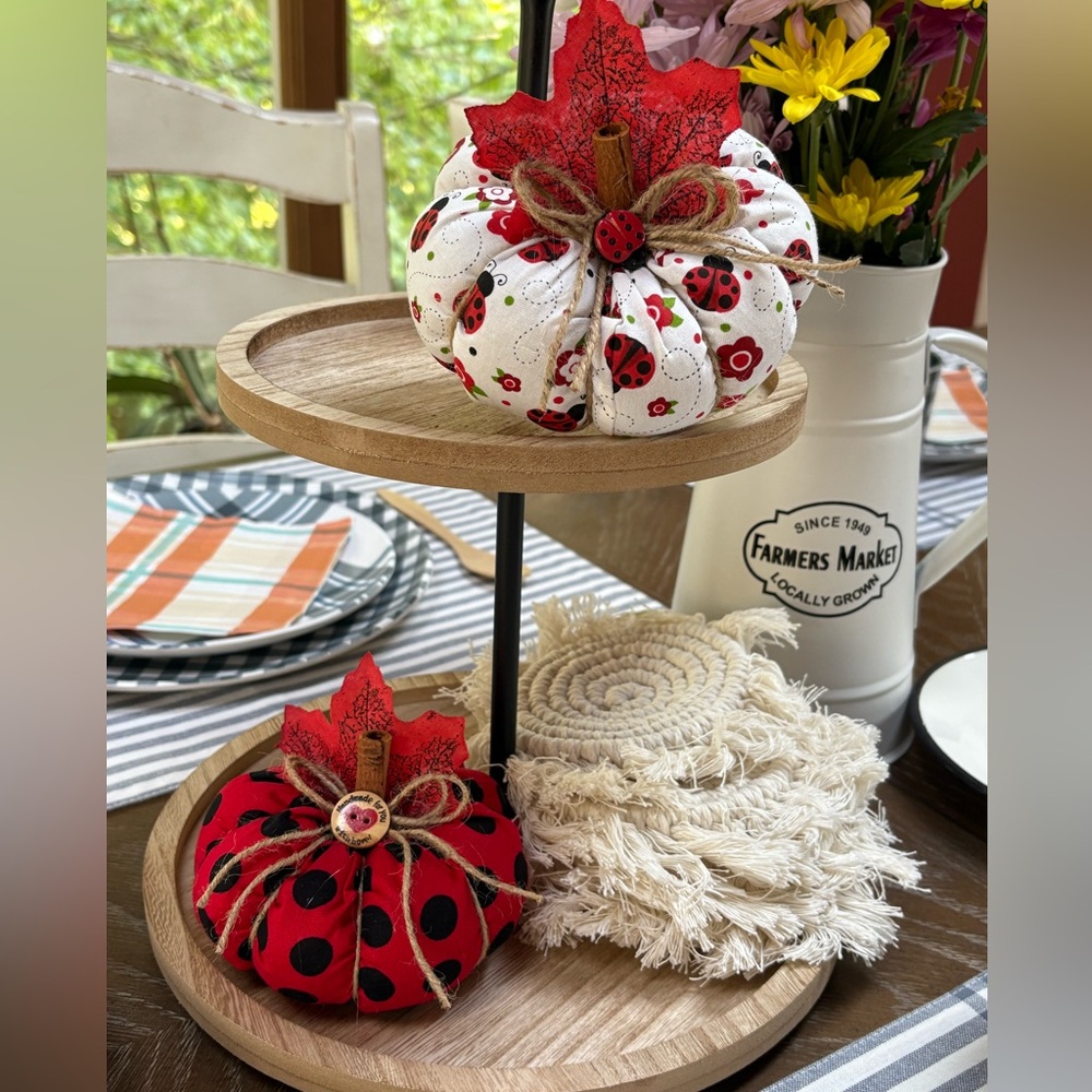 Hand Crafted Red and White Ladybug Pumpkin Decor